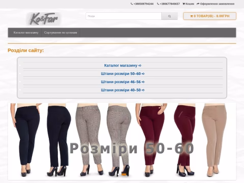 Зображення сайту bryuki-optom.com.ua