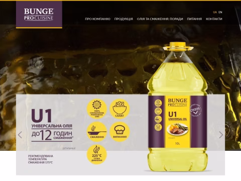 Зображення сайту bungepro.ua