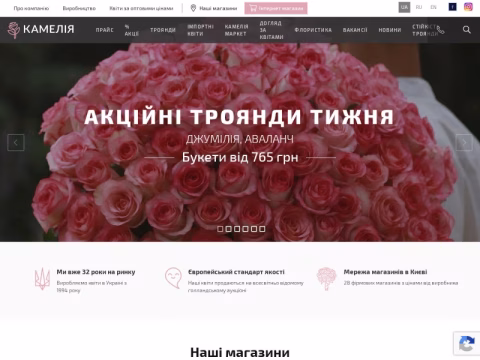 Зображення сайту camellia.ua