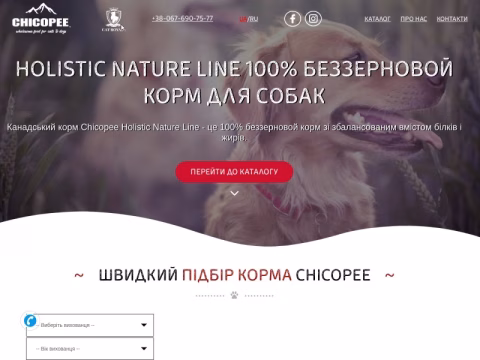 Зображення сайту chicopee.in.ua