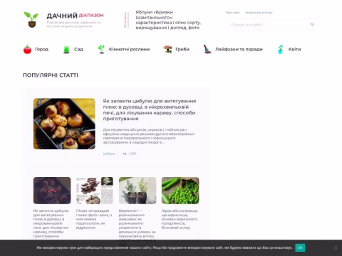 Зображення сайту diapason.com.ua