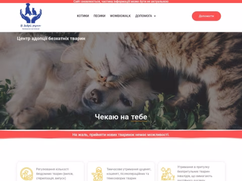 Зображення сайту dobri-ruky.com.ua
