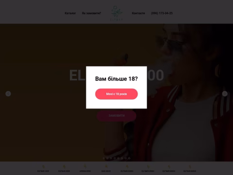 Зображення сайту elfstore.com.ua