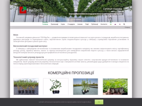 Зображення сайту ft.ua