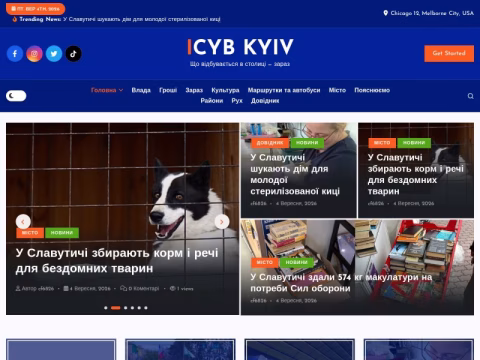 Зображення сайту icyb.kiev.ua