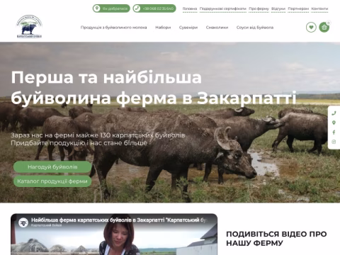 Зображення сайту karpatskiybuivil.com.ua