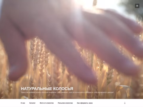 Зображення сайту koloski.in.ua