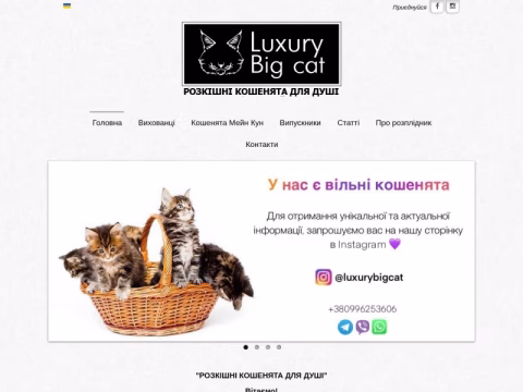 Зображення сайту lbcat.com.ua