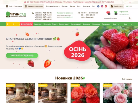 Зображення сайту litynsad.com.ua