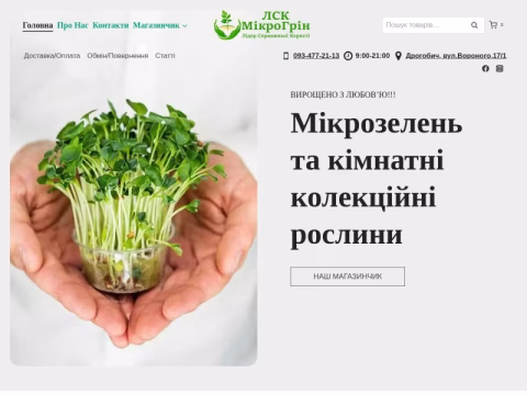 Зображення сайту lskm.in.ua