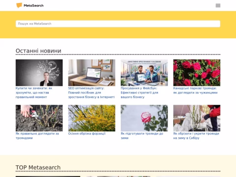 Зображення сайту metasearch.com.ua