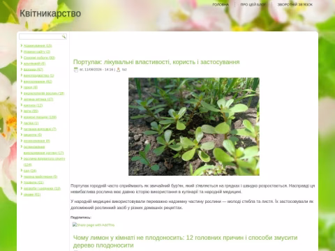 Зображення сайту my-flower.com.ua