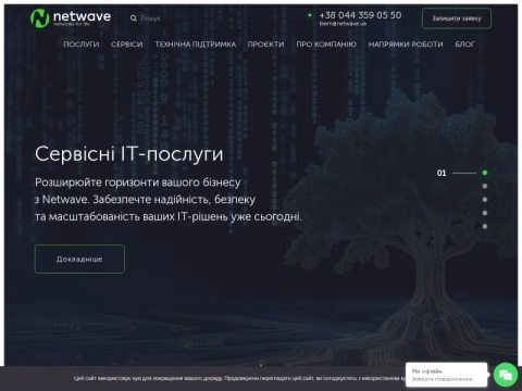 Зображення сайту netwave.ua
