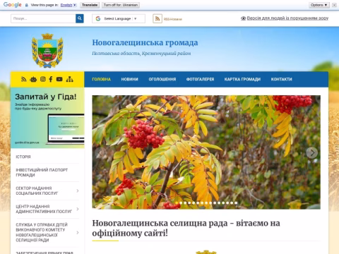 Зображення сайту ngaleshynska-gromada.gov.ua