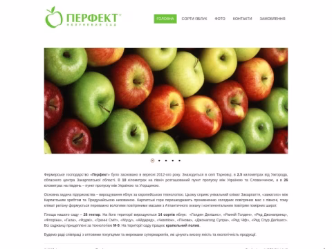 Зображення сайту perfekt.uz.ua