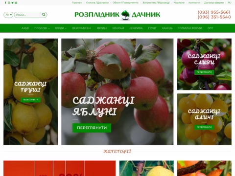 Зображення сайту pitomnik-dachnik.com.ua