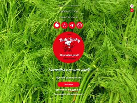 Зображення сайту raki-lucky.com.ua