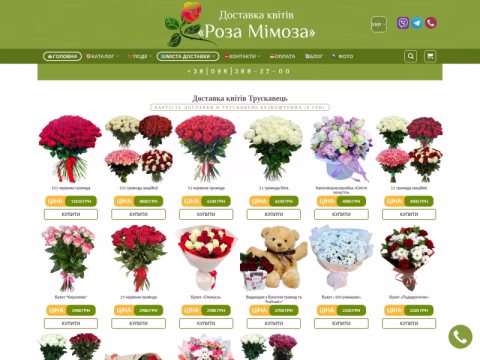 Зображення сайту rozamimoza.pp.ua