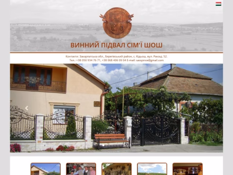 Зображення сайту sasspince.com.ua
