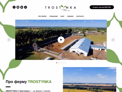 Зображення сайту trostynka.com.ua
