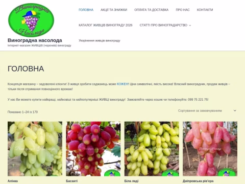 Зображення сайту v-n.com.ua