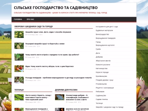 Зображення сайту xpert.com.ua